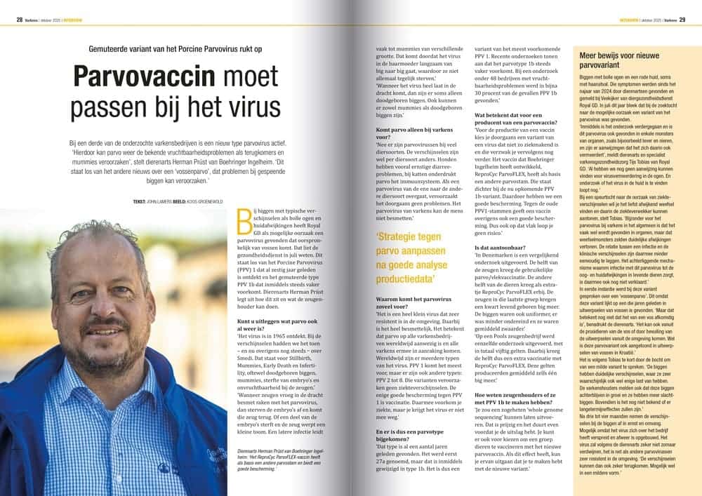 Varkens_pag28-29